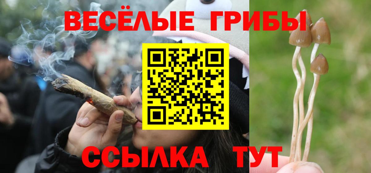 Златоуст  Псилоцибиновые грибы MAGIC MUSHROOMS  Вход с VPN 